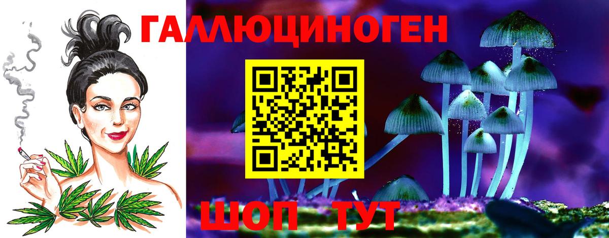 Кудымкар  Галлюциногенные грибы Psilocybe  Вход с VPN 